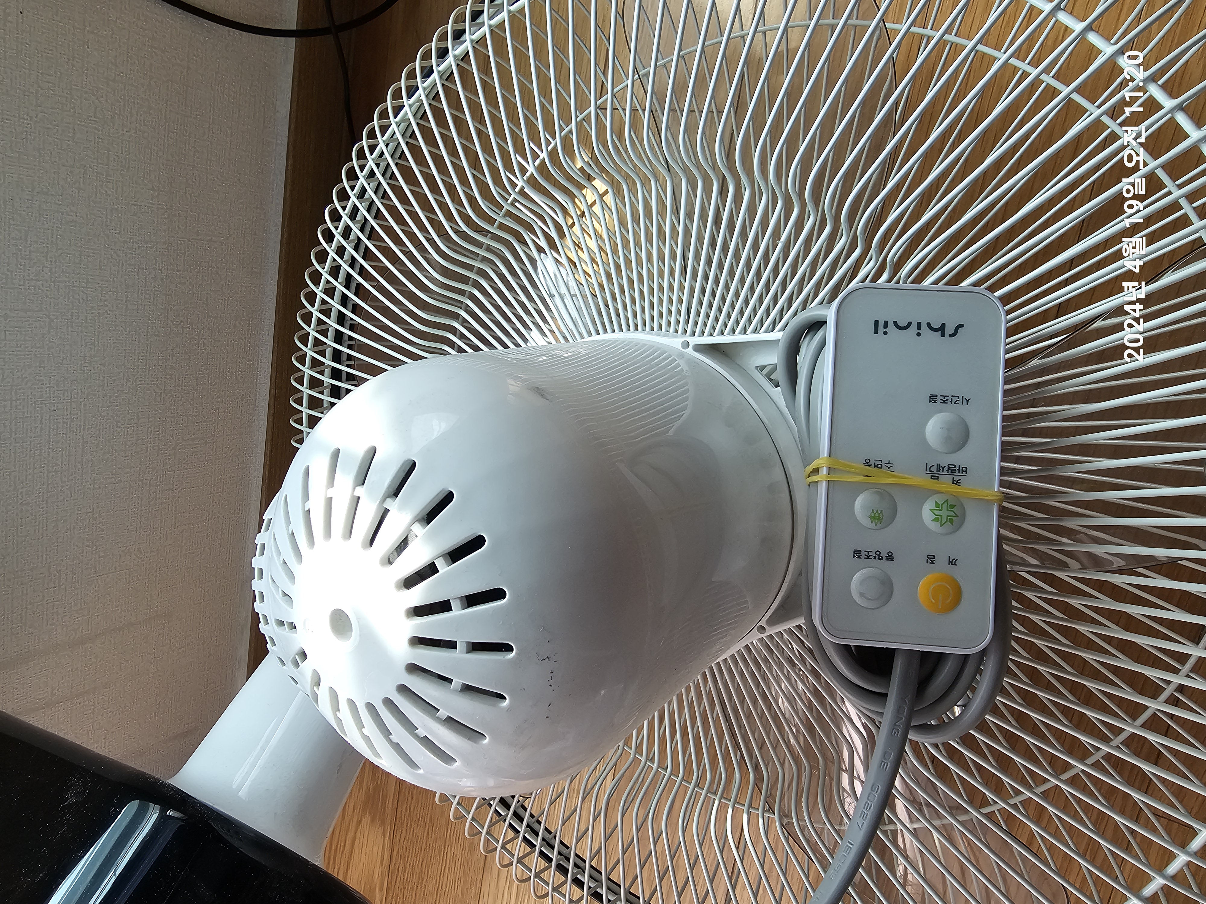 20240419_112052.jpg