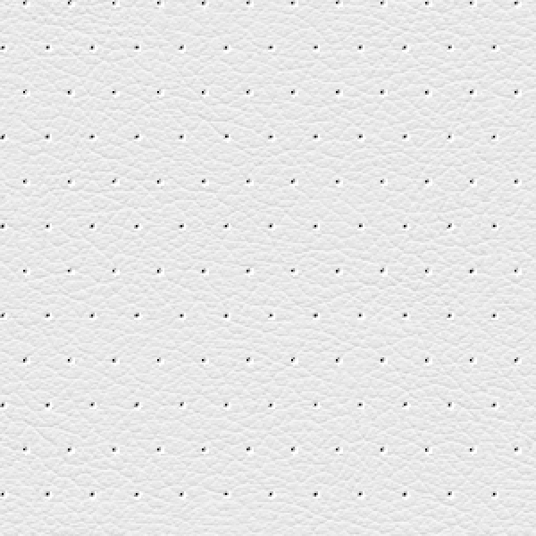 perforated_white_leather_@2X.png