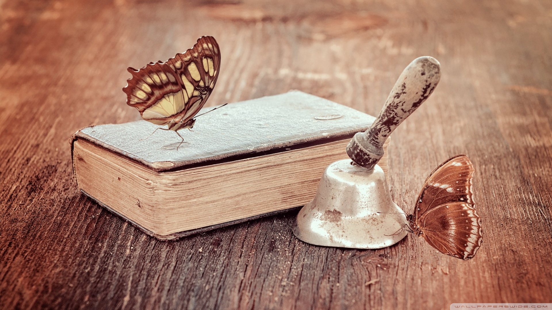 vintage_book_and_butterflies-wallpaper-1920x1080.jpg