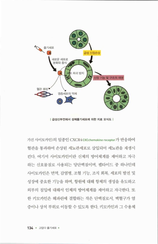 라정찬_고맙다줄기세포_139.jpg