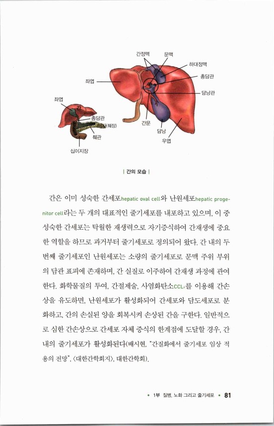 라정찬_고맙다줄기세포_86.jpg