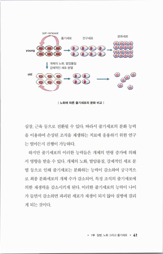 라정찬_고맙다줄기세포_46.jpg