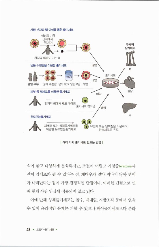 라정찬_고맙다줄기세포_53.jpg