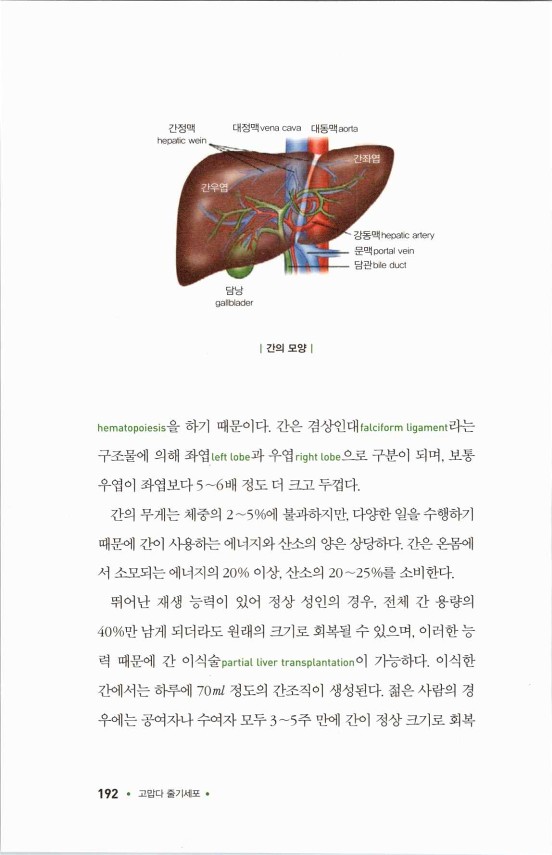 라정찬_고맙다줄기세포_197.jpg