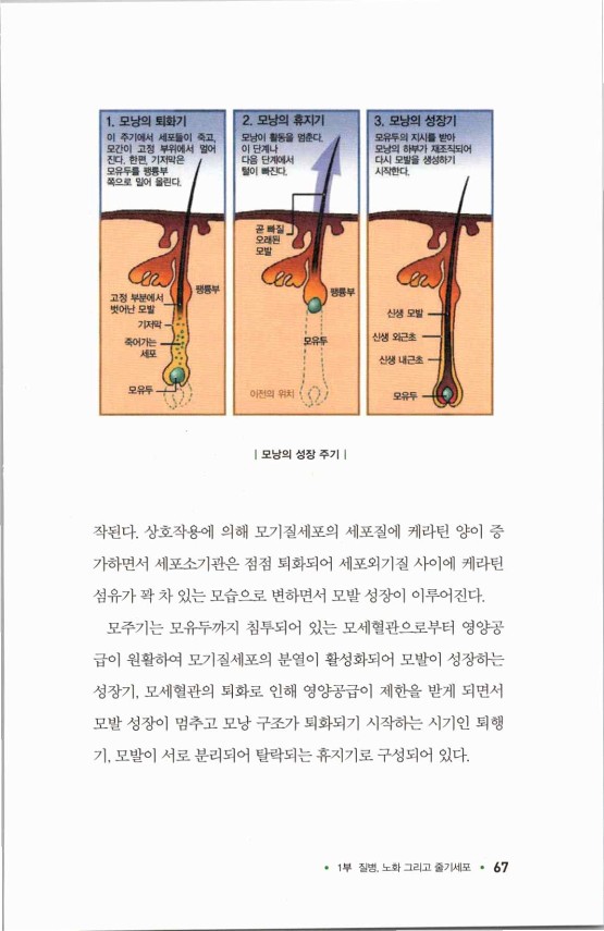 라정찬_고맙다줄기세포_72.jpg