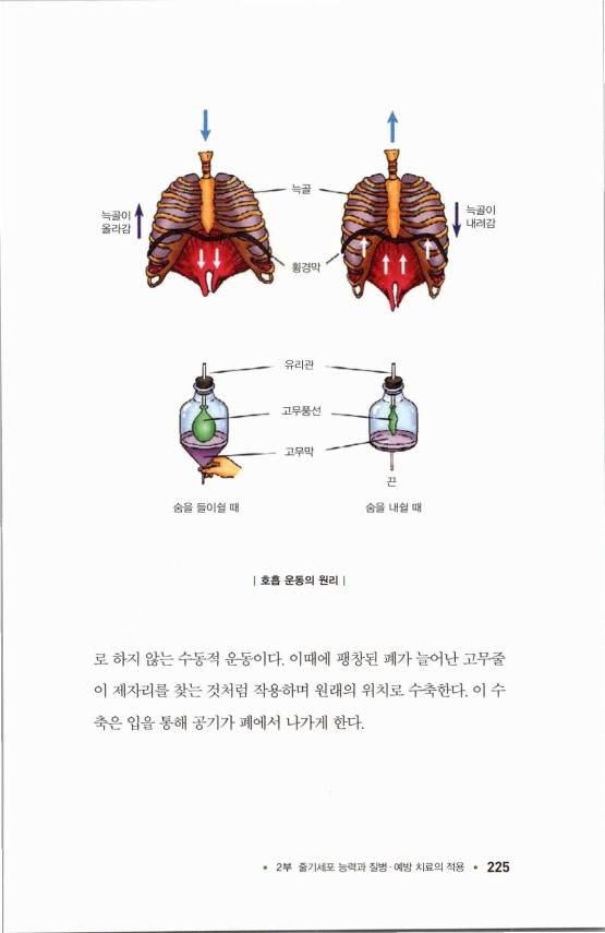 라정찬_고맙다줄기세포_230.jpg