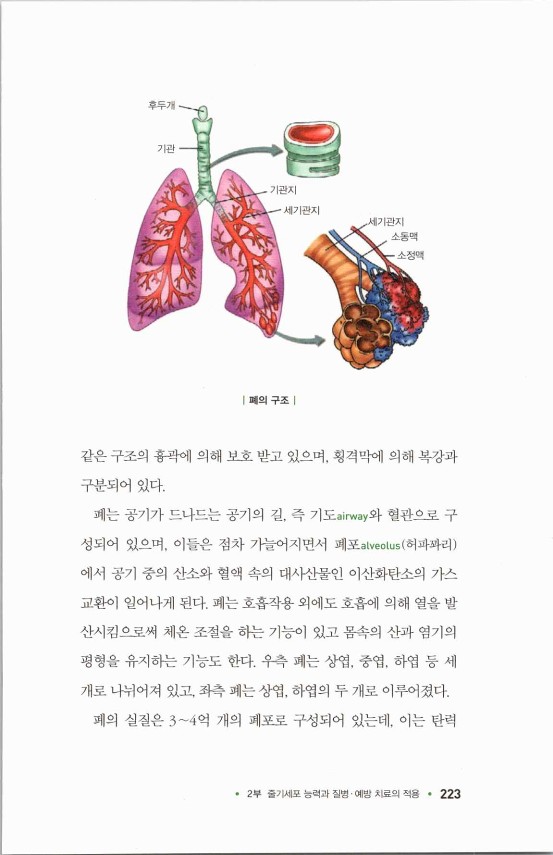 라정찬_고맙다줄기세포_228.jpg