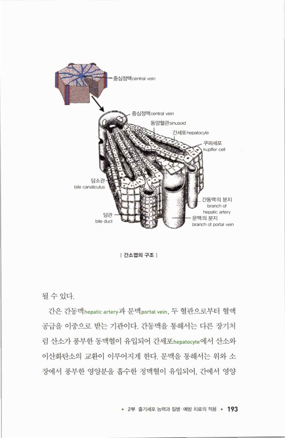 라정찬_고맙다줄기세포_198.jpg