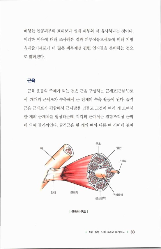 라정찬_고맙다줄기세포_88.jpg