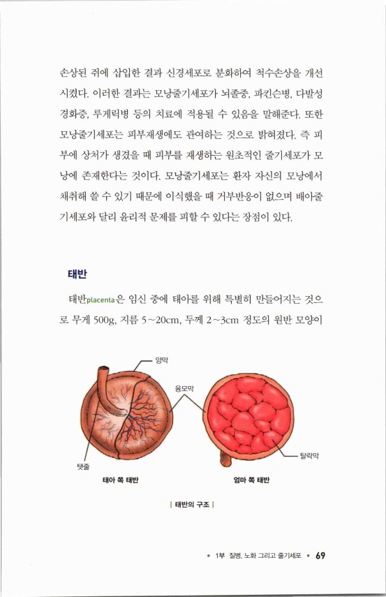 라정찬_고맙다줄기세포_74.jpg