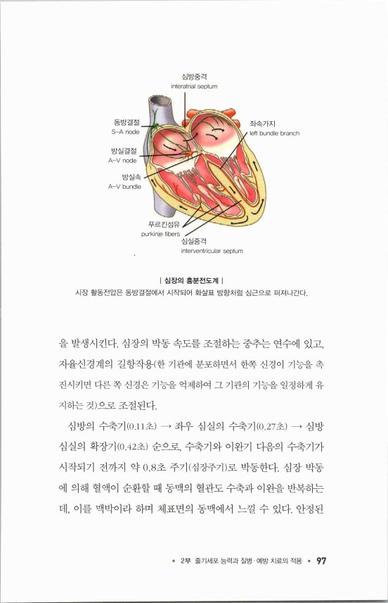 라정찬_고맙다줄기세포_102.jpg