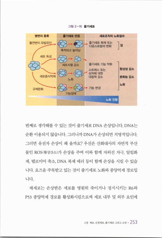 라정찬_치매희망있습니다_260.jpg