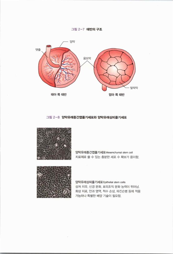 라정찬_치매희망있습니다_216.jpg