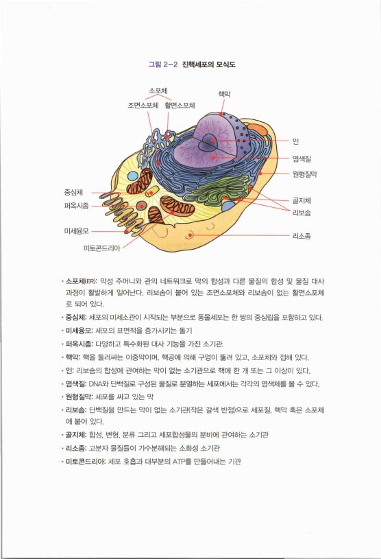 라정찬_치매희망있습니다_176.jpg