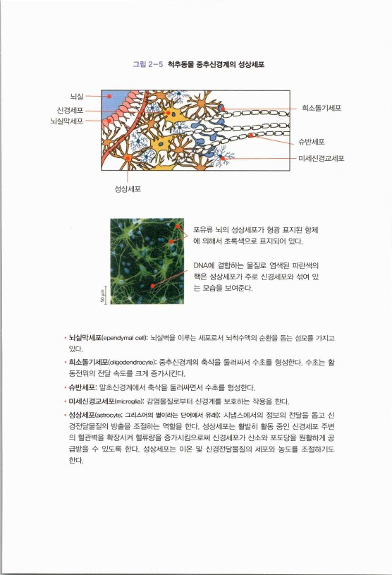 라정찬_치매희망있습니다_190.jpg