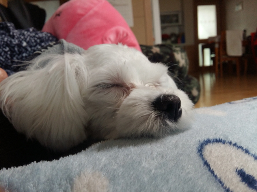 20170127_134401.jpg