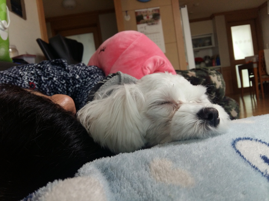 20170127_134307.jpg
