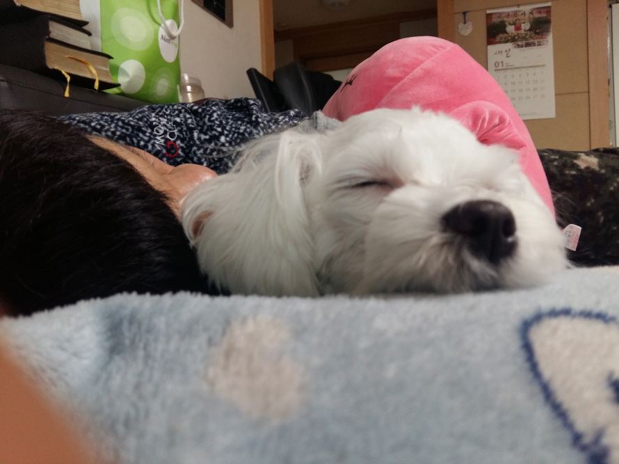 20170127_134336.jpg