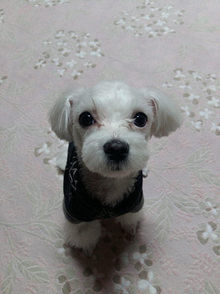 20170127_201410.jpg