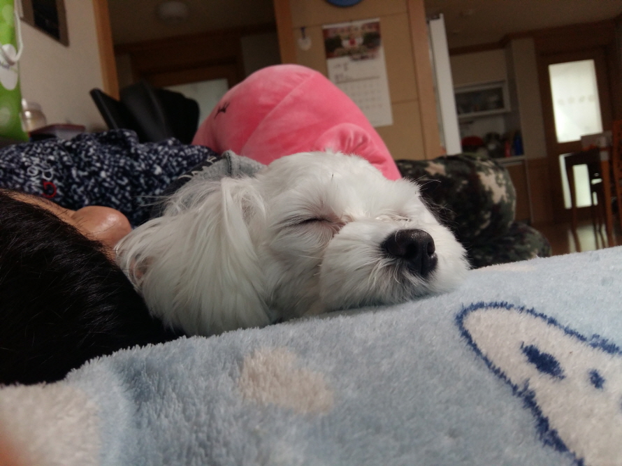 20170127_134316.jpg