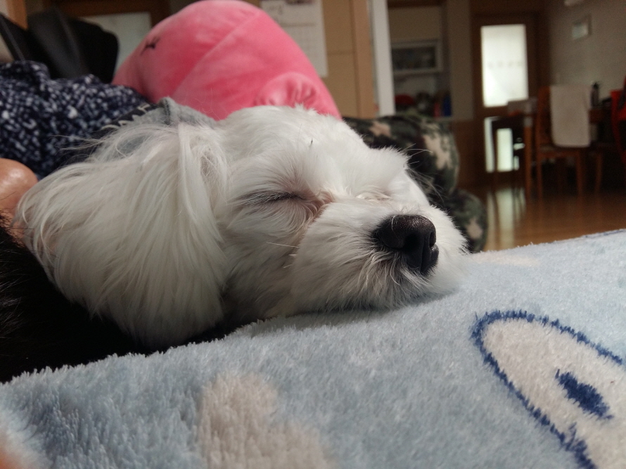 20170127_134351.jpg