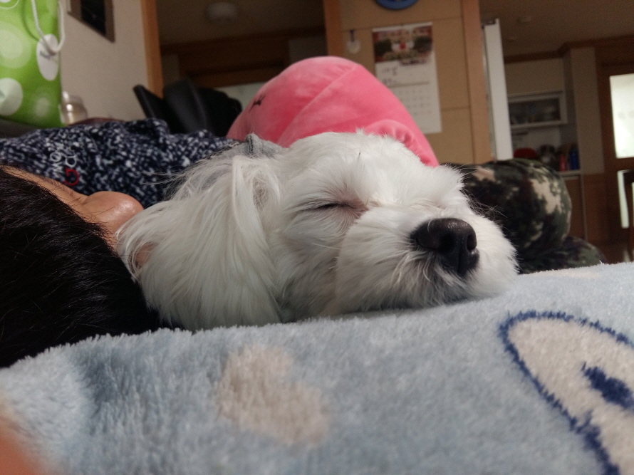 20170127_134328.jpg