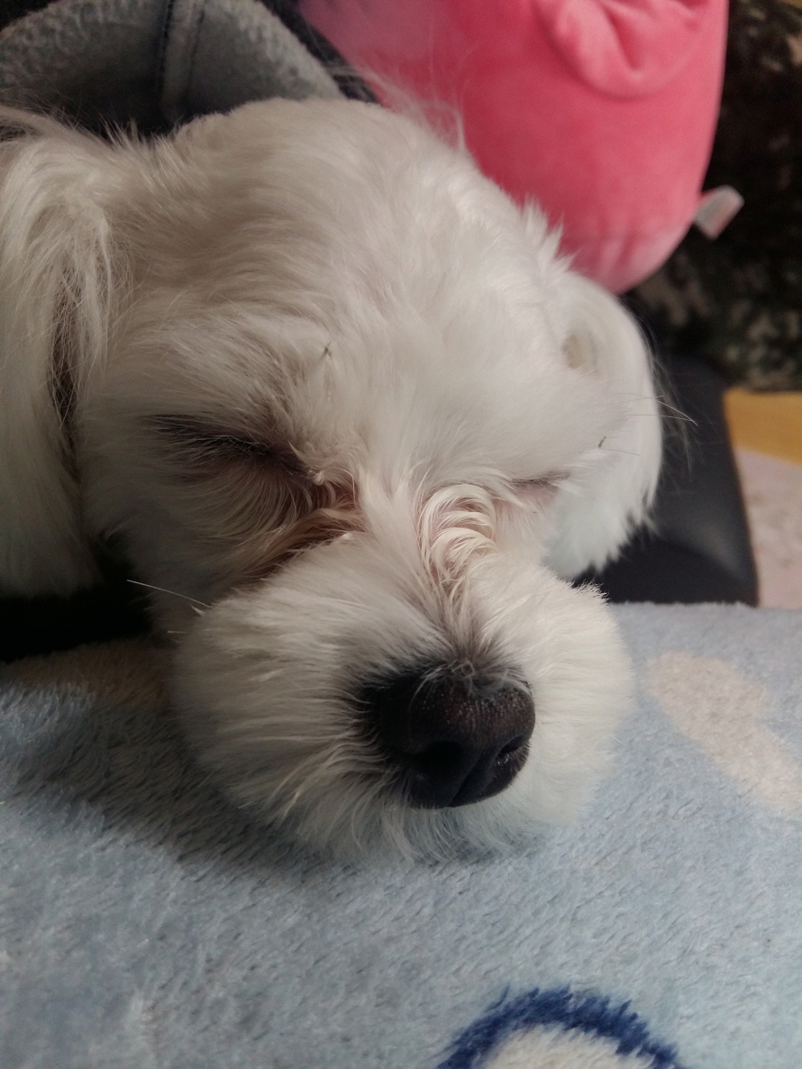 20170127_134558.jpg