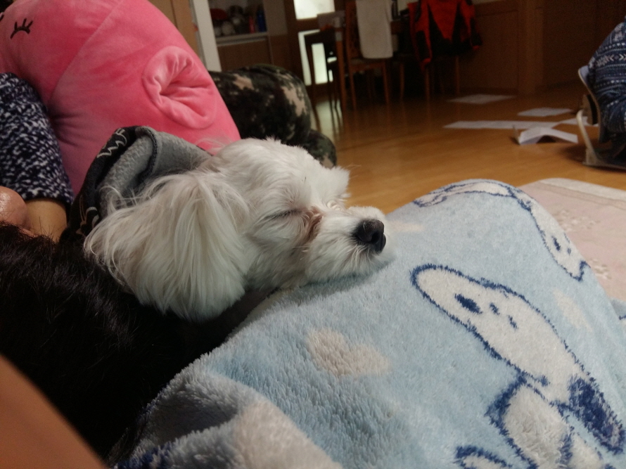 20170127_134237.jpg