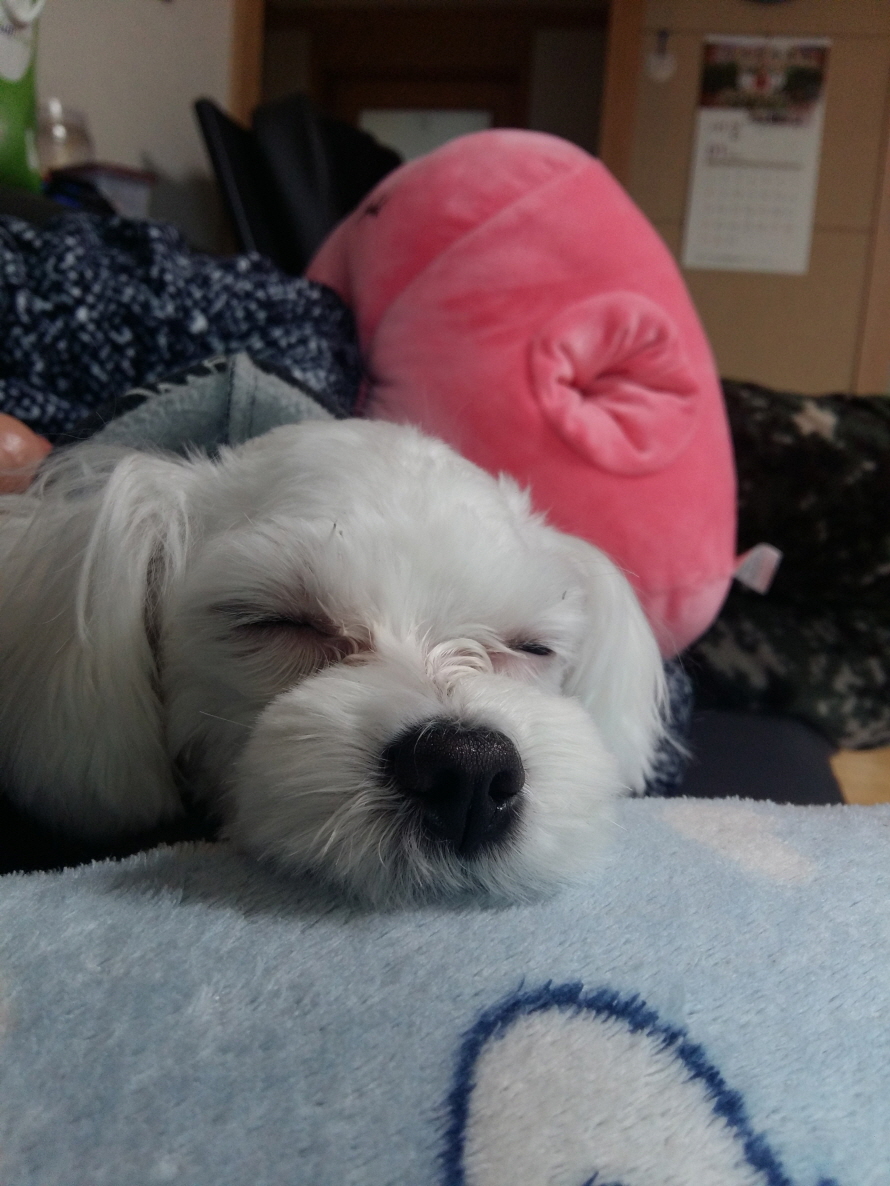 20170127_134549.jpg