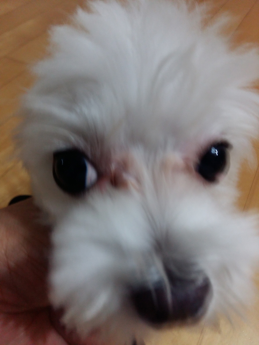 20170903_223215.jpg