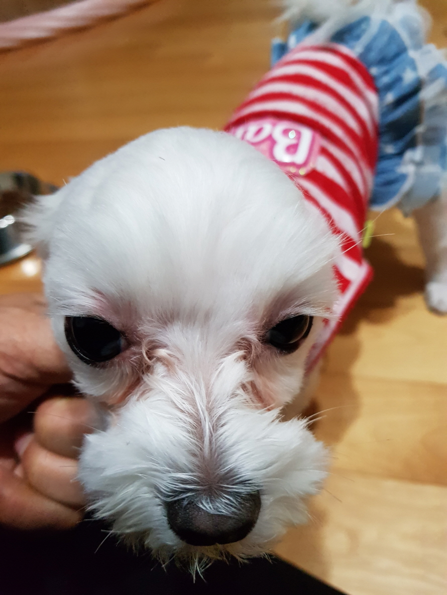 20171110_234449.jpg