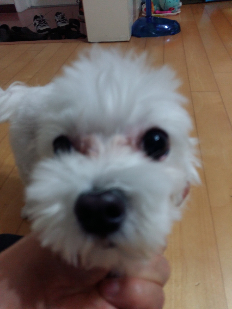 20170903_223207.jpg