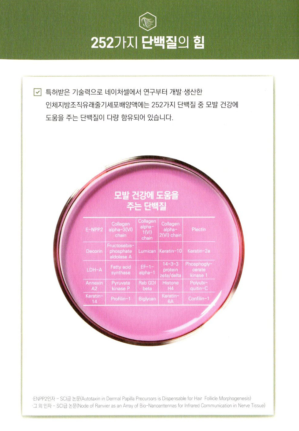 네이처셀-샴푸4.jpg