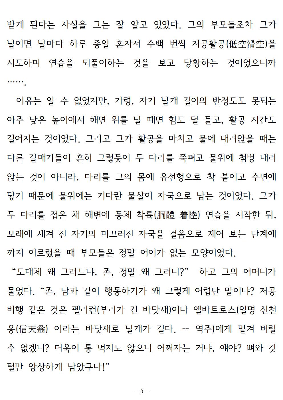 갈매기조나단003.jpg