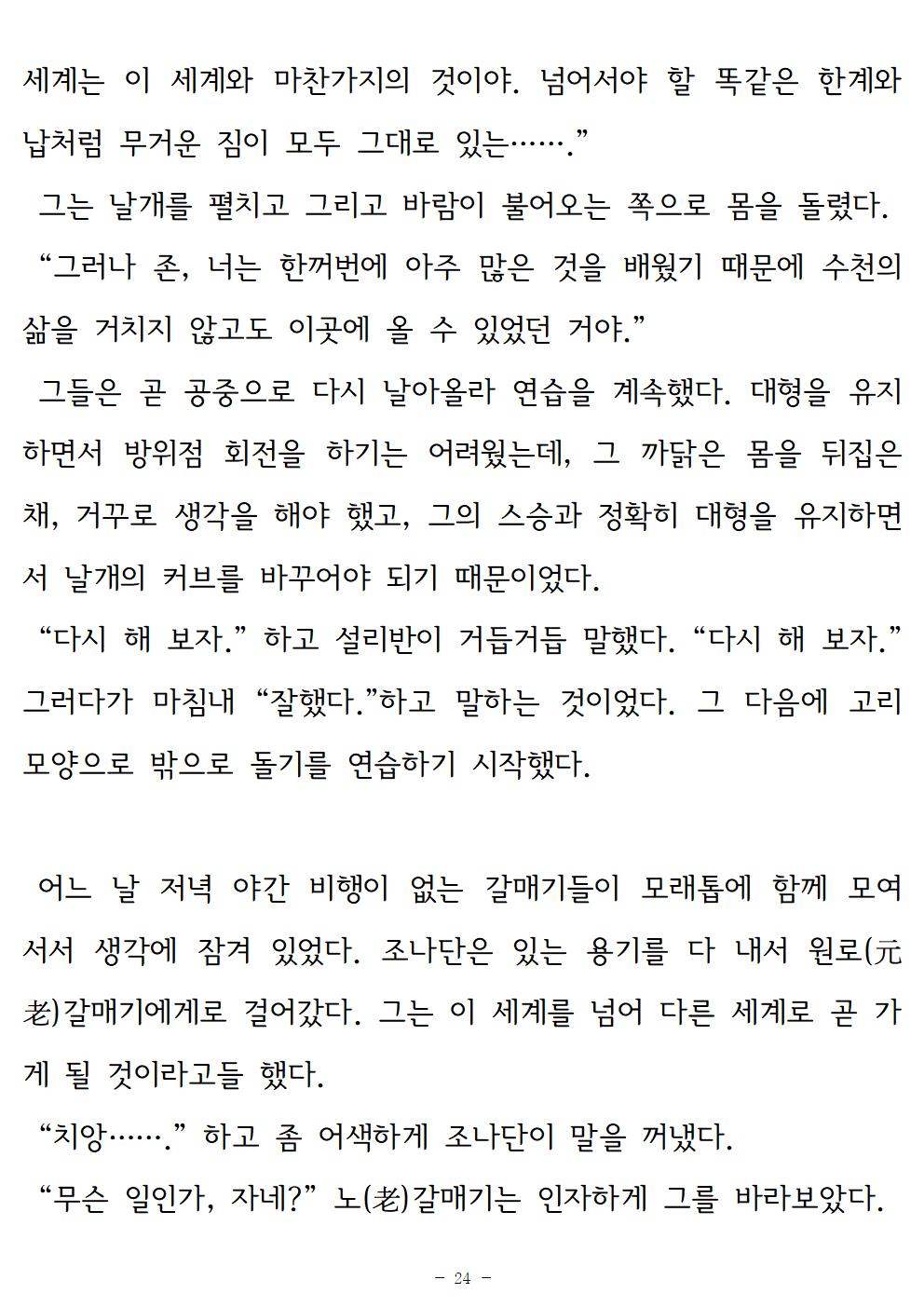 갈매기조나단024.jpg