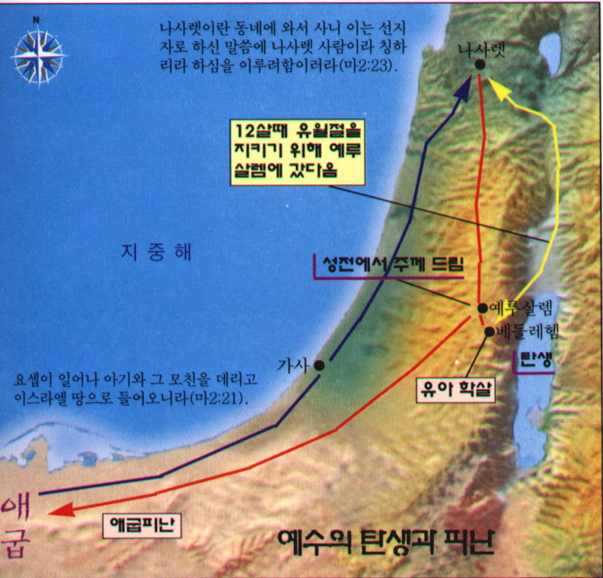 예수님의 탄생과 피난.jpg